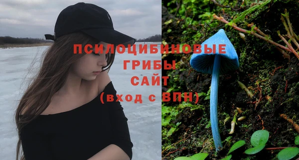 дмт Балабаново