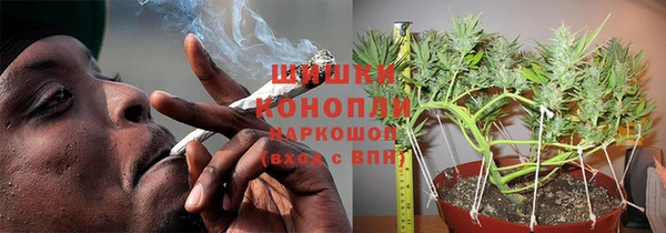 тгк Белокуриха