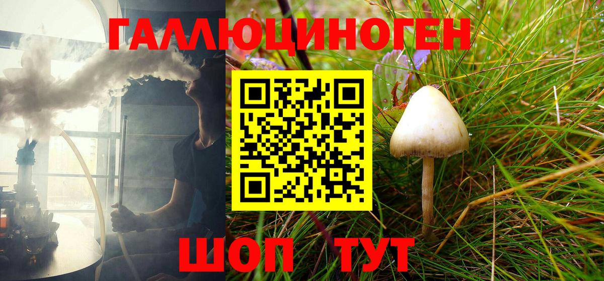 закладки  Псилоцибиновые грибы Cubensis  Вход с VPN  Астрахань 