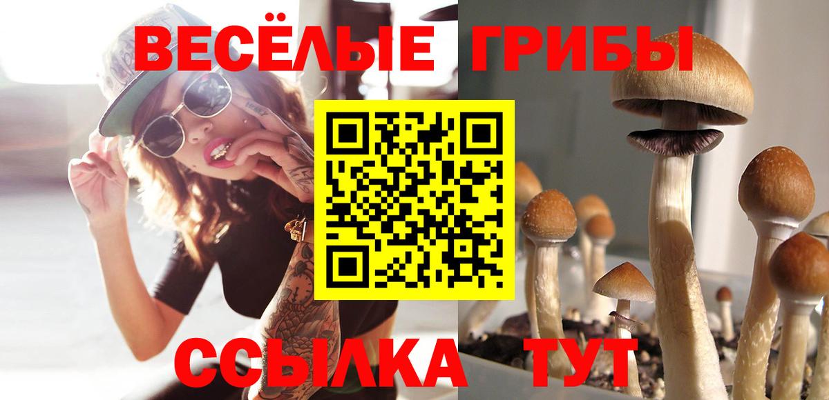 Псилоцибиновые грибы прущие грибы Астрахань